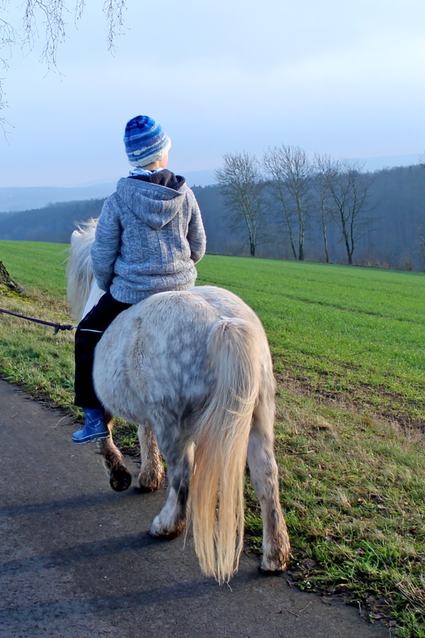 Förderpädagogische und reittherapeutische Betreuung von Kindern Hardegsen Göttingen