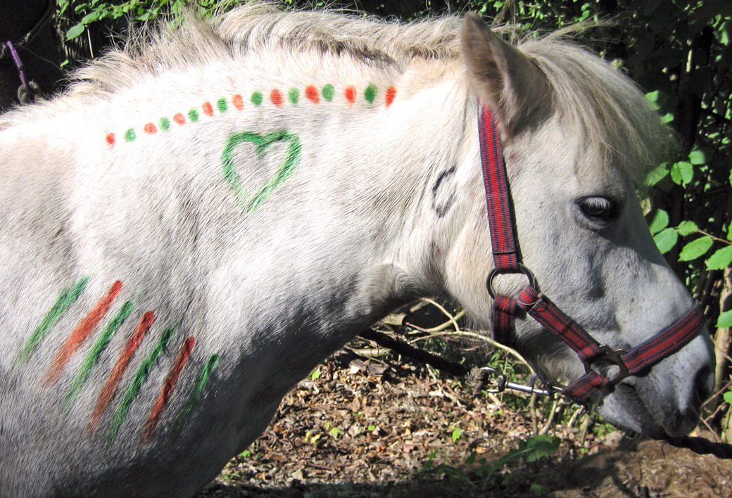 Ponykids Ponyreiten auf dem Ponyhof huf-spur in Hardegsen bei Göttingen