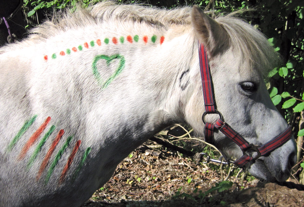 Ponykids Ponyreiten auf dem Ponyhof huf-spur in Hardegsen bei Göttingen